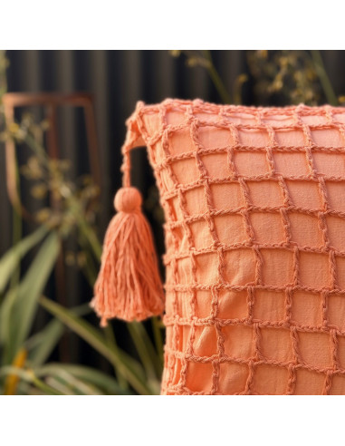 Almohadón - Cuadros Grandes Crochet y Borlas