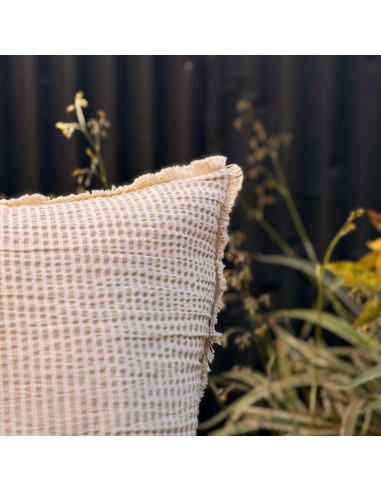 Combo de Almohadones Leslie : Mil Rayas & Flecos