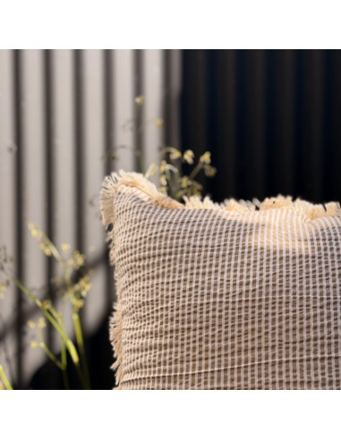 Combo de Almohadones Leslie : Mil Rayas & Flecos