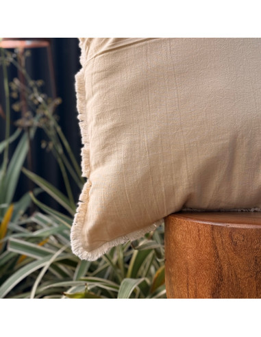 Combo Almohadones Leslie Lisos