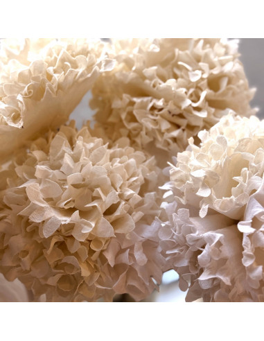 Flores de Tela - Hortensias  x 1