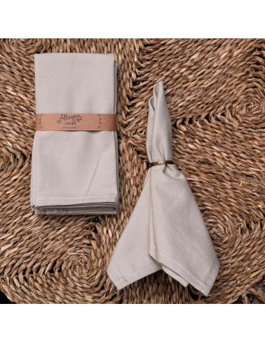 Servilletas Antimanchas XL- Pack x 4