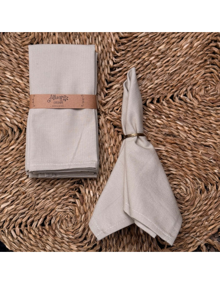 Servilletas Antimanchas XL- Pack x 4