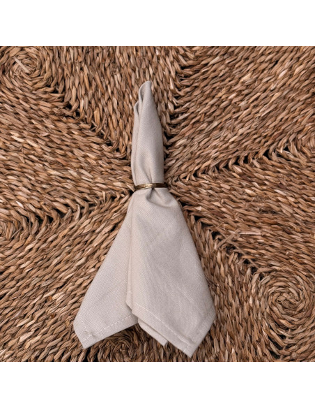 Servilletas Antimanchas XL- Pack x 4