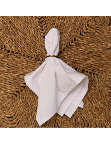 Servilletas Antimanchas XL- Pack x 4