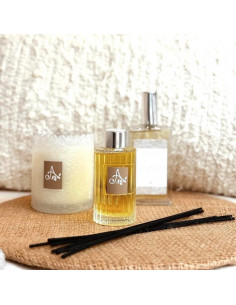 Vela Iconic Collection