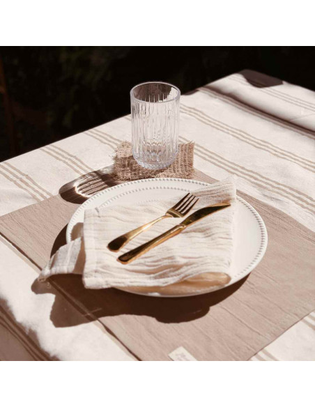 Combo Mesa:  Mantel + 6 Ind + 6 servilletas + 6  posavasos