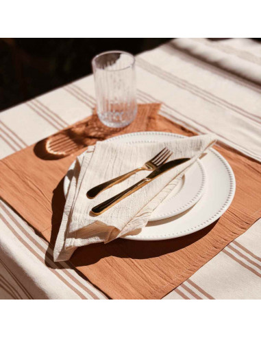 Combo Mesa:  Mantel + 6 Ind + 6 servilletas + 6  posavasos