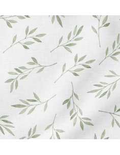 Olive Green 2