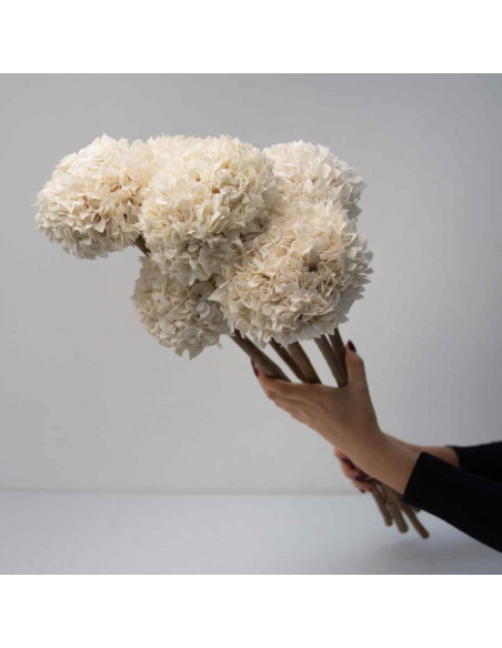 Flores de Tela - Hortensias  x 1
