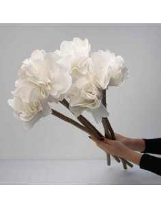 Flores de Tela  x 1