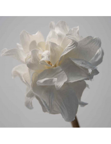 Flores de Tela  x 1 - Magnolia en Gasa